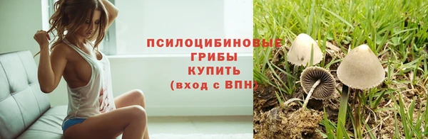 COCAINE Богданович